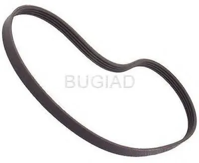 V-Ribbed Belts BUGIAD купить