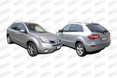 Ручка двери PRASCO купить