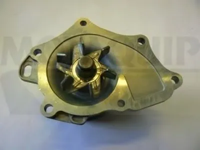 Водяной насос MOTAQUIP купить