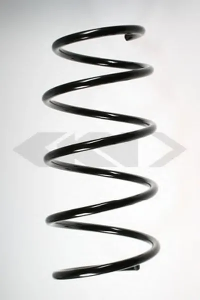 винтовая пружина SPIDAN купить