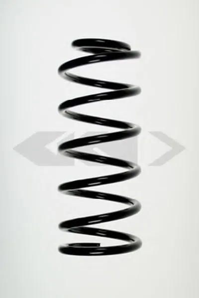 винтовая пружина SPIDAN купить