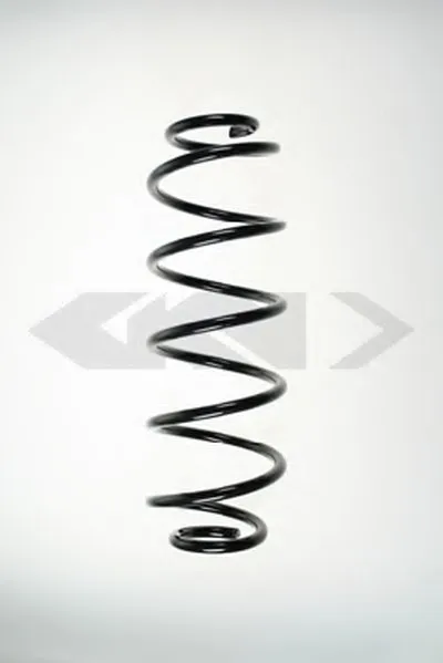винтовая пружина SPIDAN купить