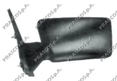 Наружное зеркало PRASCO купить