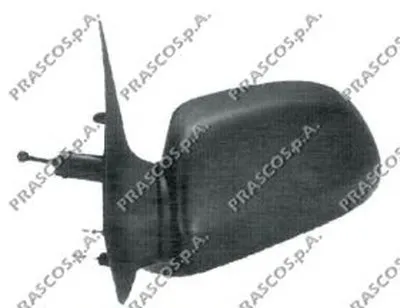 Наружное зеркало PRASCO купить