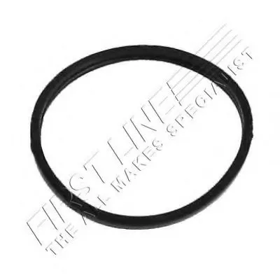 Термостат, охлаждающая жидкость FIRST LINE купить