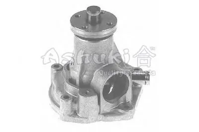 Водяной насос ASHUKI купить