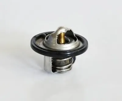 Термостат, охлаждающая жидкость