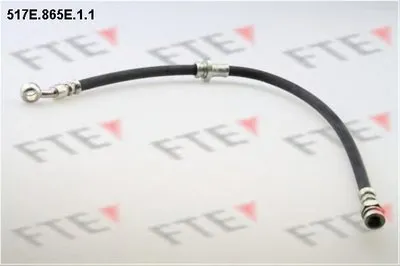 Тормозной шланг FTE купить