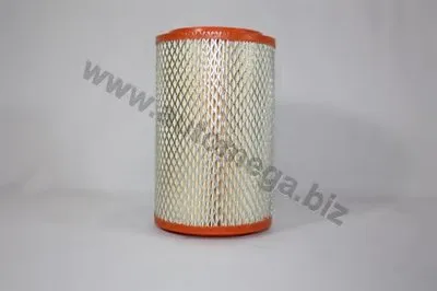 Воздушный фильтр AutoMega Premium AUTOMEGA купить