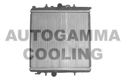 Радиатор, охлаждение двигателя AUTOGAMMA купить
