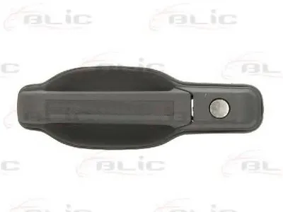 Ручка двери BLIC купить