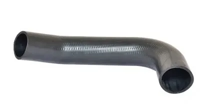 Трубка нагнетаемого воздуха BUGIAD купить