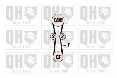 Ремень ГРМ QUINTON HAZELL купить