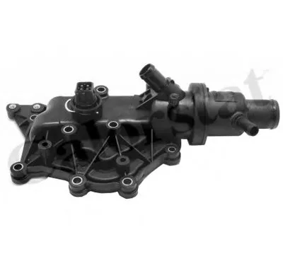 Термостат, охлаждающая жидкость CALORSTAT by Vernet купить