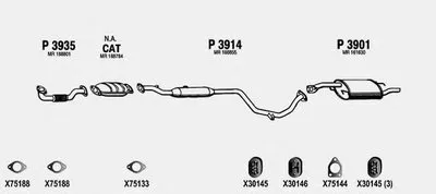 Система выпуска ОГ FENNO купить