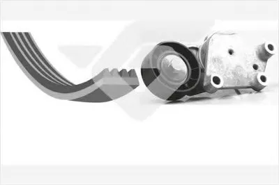 Поликлиновой ременный комплект HUTCHINSON купить