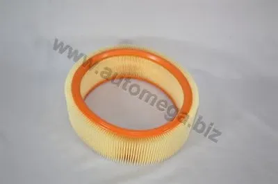 Воздушный фильтр AutoMega Premium AUTOMEGA купить