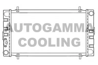 Радиатор, охлаждение двигателя AUTOGAMMA купить