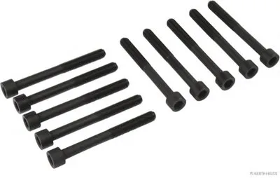 Комплект болтов головки цилидра HERTH+BUSS JAKOPARTS купить