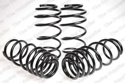 Комплект ходовой части, пружины ROC купить