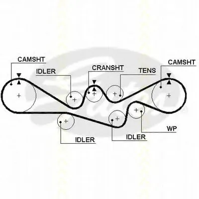 Ремень ГРМ TRISCAN купить