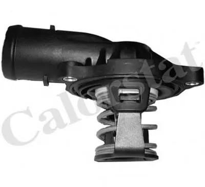 Термостат, охлаждающая жидкость CALORSTAT by Vernet купить