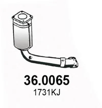 Катализатор для переоборудования ASSO купить
