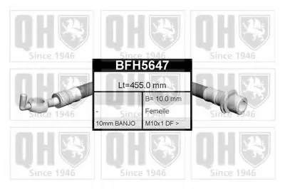 Тормозной шланг QUINTON HAZELL купить