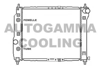 Радиатор, охлаждение двигателя AUTOGAMMA купить