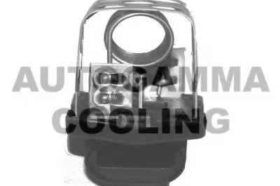 Дополнительный резистор, электромотор - вентилятор радиатора AUTOGAMMA купить