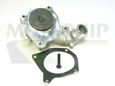 Водяной насос MOTAQUIP купить
