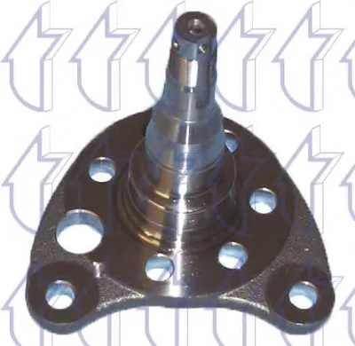 Поворотный кулак, подвеска колеса TRICLO купить