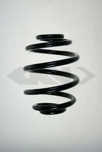 винтовая пружина SPIDAN купить
