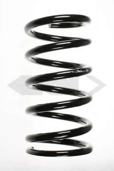 винтовая пружина SPIDAN купить