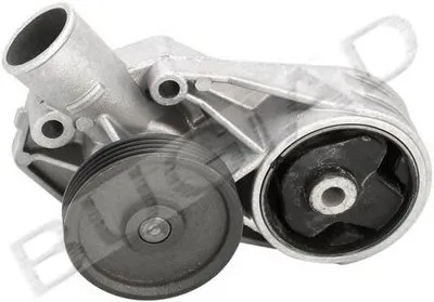 Водяной насос BUGIAD купить