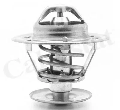 Термостат, охлаждающая жидкость CALORSTAT by Vernet купить