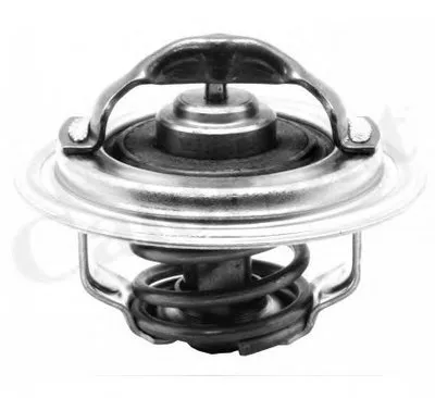 Термостат, охлаждающая жидкость CALORSTAT by Vernet купить