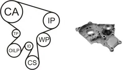 Водяной насос + комплект зубчатого ремня AIRTEX купить