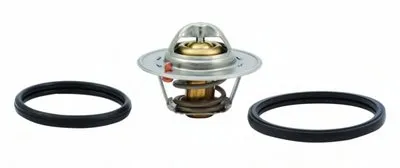 Термостат, охлаждающая жидкость HOFFER купить