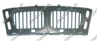 Решетка радиатора PRASCO купить