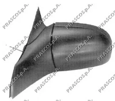 Наружное зеркало PRASCO купить