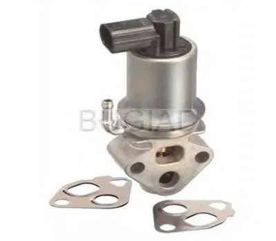 Клапан возврата ОГ BUGIAD купить