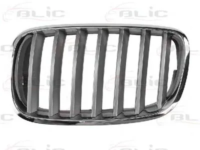Решетка радиатора BLIC купить
