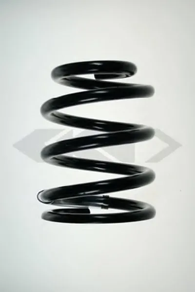винтовая пружина SPIDAN купить