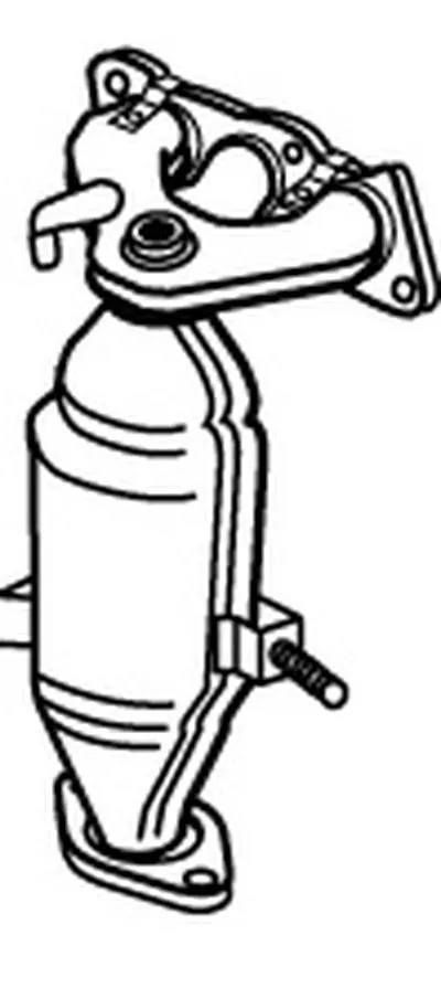 Катализатор для переоборудования WALKER купить