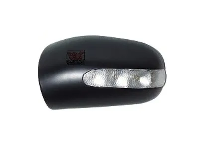 Покрытие, внешнее зеркало VAN WEZEL купить