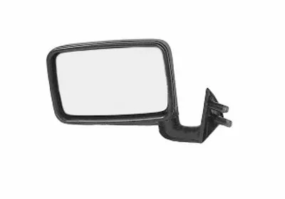 Наружное зеркало VAN WEZEL купить