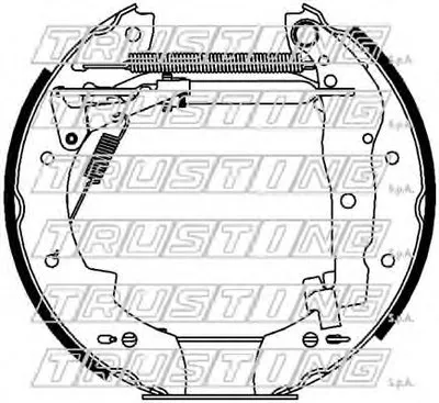 Комплект тормозных колодок FAST KIT TRUSTING купить