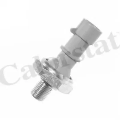 Выключатель с гидропроводом CALORSTAT by Vernet купить