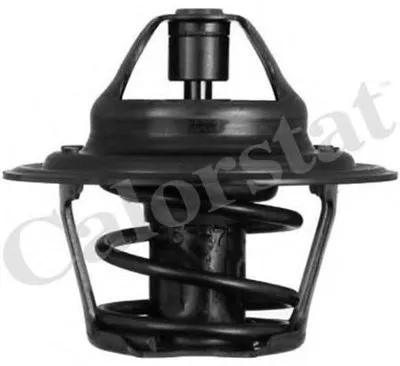 Термостат, охлаждающая жидкость CALORSTAT by Vernet купить